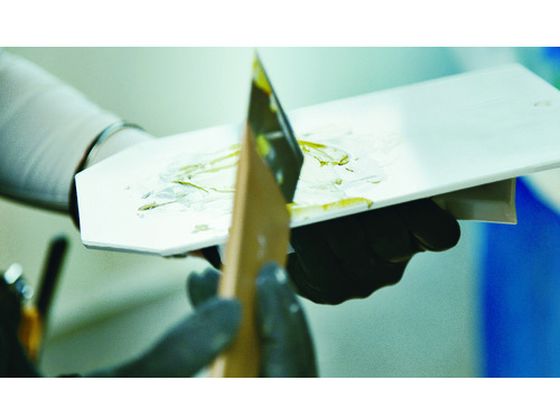 �ڥޥ饽������2000�ߥ����ݥ���ݥ����2�ܡۡڤ����󤻡�INOUE ���ƥ�ѥƥإ� 40mm 12327 �إ� ���� ���� ���� ���� ���� ���� ���ۻ��