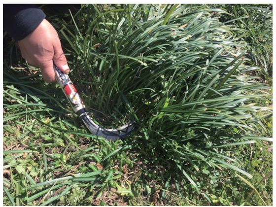 �ڥޥ饽������2000�ߥ����ݥ���ݥ����2�ܡۡڤ����󤻡�˭̭ ���������޳� HT-1020 ���ڤ� ���ڤ� ���� ���� ���Ȼ�� ������� ������� ����