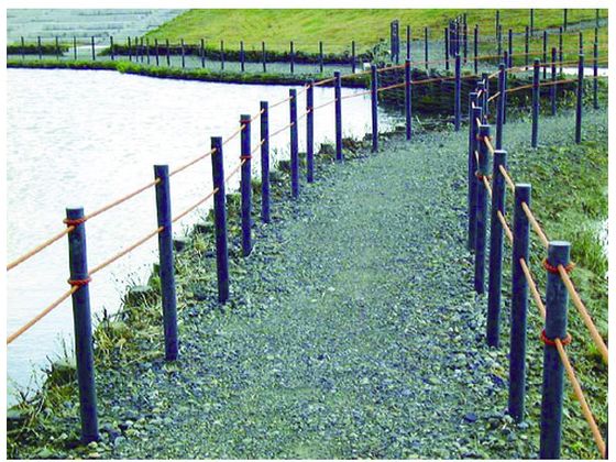 �ڥ�ӥ塼��Ƥ�100��OFF�����ݥ������̵���ڤ����󤻡ۥȥ�� �ץ�ݹ� WB�ߥ�60 ��60��600 ��ʤ� WBM60 ���� �ߤ�� ��ݥ��å� ��� �����ǥ˥�