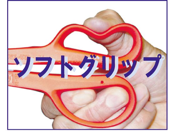 �ڥ�ӥ塼��Ƥ�100��OFF�����ݥ�ۡڤ����󤻡۶��� �ե����ꥹ��Le NS-170E �ϥ��� ���å��� �Ķ��ѹ��� ������� ����