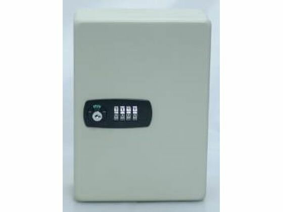 【マラソン限定★2000円クーポン&ポイント2倍】【お取り寄せ】エスコ キーボックス (20本用) 185×90×250mm EA956VK-20 キーボックス キーホルダー 名札