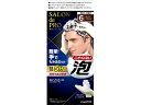 【お取り寄せ】ダリヤ サロンドプロ 泡のヘアカラーEX メンズS(白髪用) 6 白髪用男性 ヘアカラー ヘアケア