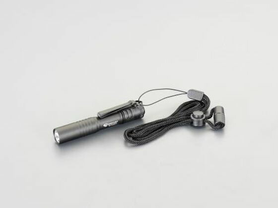 楽天ココデカウ【レビュー投稿で100円OFFクーポン】【お取り寄せ】エスコ フラッシュライト LED 黒 単4×1本 EA758SG-10 懐中電灯 ライト 照明器具 家電