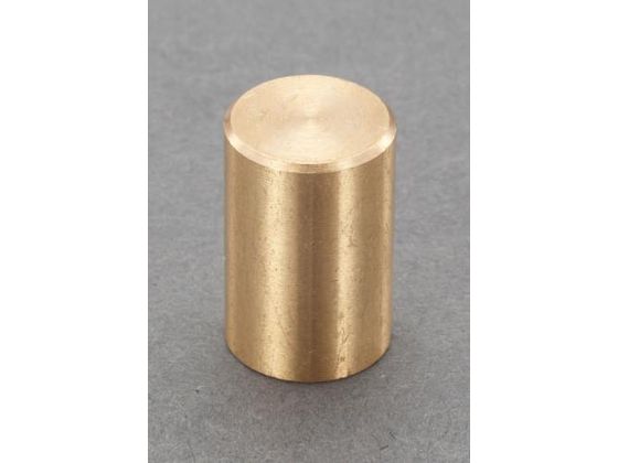 【レビュー投稿で100円OFFクーポン】【お取り寄せ】エスコ 強力マグネット φ6×20mm 8N EA781EF-21 マグネット 掲示物留め 吊下げ POP 掲示