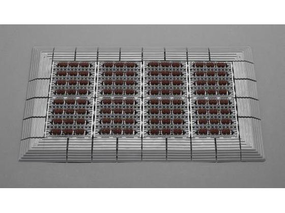 【楽天スーパーSALE限定★ポイント2倍＆2,000円クーポン】【お取り寄せ】エスコ 土砂落としマット ふち付 450×750mm EA997RX-306 屋外用 玄関マット エントランス インフォメーション オフィス家具