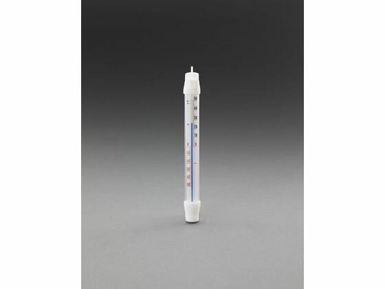 【レビュー投稿で100円OFFクーポン】【お取り寄せ】エスコ 冷蔵庫用温度計 210×20mm EA728GJ-11 温湿度..