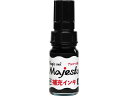 【店内全品ポイント2倍★16日9:59迄】 寺西化学工業 マジェスター 補充インキ 10ml 黒 MHJA-10ML-T1