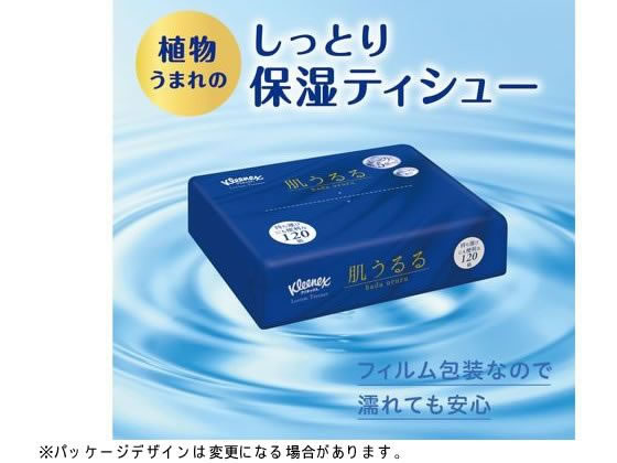 【レビュー投稿で100円OFFクーポン】クレシ...の紹介画像2