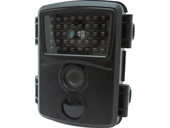 【お取り寄せ】ブロードウォッチ 乾電池式防犯カメラ SEC-IRTF-1080P 防犯カメラ 侵入対策 防犯