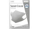 jE`[ K SMART COLOR AshGray ӂ 7 }XN @ ̂ fBJ