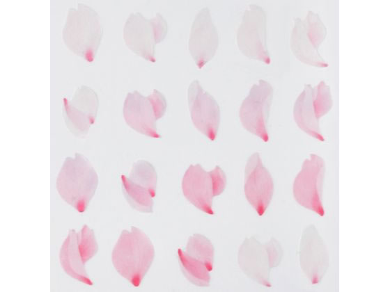 �ڥ�ӥ塼��Ƥ�100��OFF�����ݥ��bande �ޥ����󥰥����륹�ƥå��� ���β֤Ӥ� �� BDA674 �ǥ��졼������ѥޥ����󥰥ơ��� �����륿���� �ǥ��졼����󥰥å�