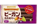 【店内全品ポイント2倍★16日9:59迄】 UHA味覚糖 ビーガンカカオバー ラムレーズン 1本