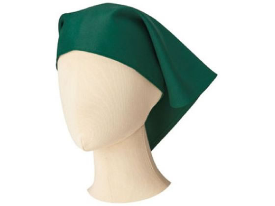 【お取り寄せ】ボンマックス 三角巾 グリーン F FA9463-4-F