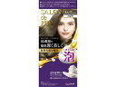 【マラソン限定★2000円クーポン&ポイント2倍】【お取り寄せ】ダリヤ サロンドプロ 泡のヘアカラー・エクストラリッチ 白髪用 3A 白髪用ヘアカラー ヘアカラー ヘアケア
