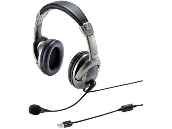 【レビュー投稿で100円OFFクーポン】【お取り寄せ】サンワサプライ USBヘッドセット MM-HSU10GMN ヘッドセット 通話用イヤホン PC周辺機器 パソコン 家電