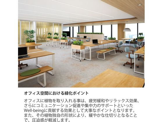 ココデカウの【メーカー直送】イトーキ フロウラウンジ 2シーターベンチ ペールイエロー ブラックフレーム【代引不可】｜アングル3