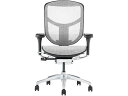 【レビュー投稿で100円OFFクーポン】【メーカー直送】Ergohuman エルゴヒューマン エンジョイ2 ロータイプ ホワイト 389603【代引不可】【お客様組立】 肘付き 可動肘タイプ メッシュチェア オフィスチェア オフィス家具