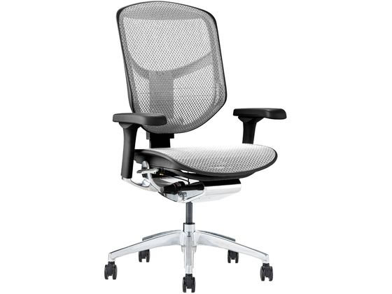 【レビュー投稿で100円OFFクーポン】【メーカー直送】Ergohuman エルゴヒューマン エンジョイ2 ロータイプ ホワイト 389603【代引不可】【お客様組立】肘付き 可動肘タイプ メッシュチェア オフィスチェア オフィス家具 [2]