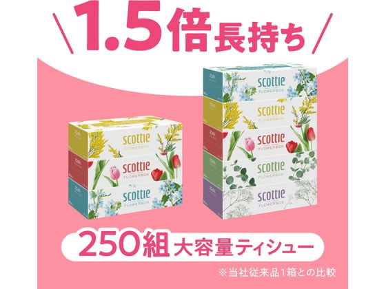 【マラソン限定★ポイント2倍＆2,000円クーポン】クレシア スコッティ ティッシュ ...