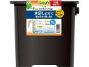 【ポイント2倍★19日20:00~26日1:59迄】【お取り寄せ】スペクトラム ブランズ ジャパン テトラ じょうろでキレイメダカ鉢20 黒 グッズ 観賞魚 ペット アクアリウム