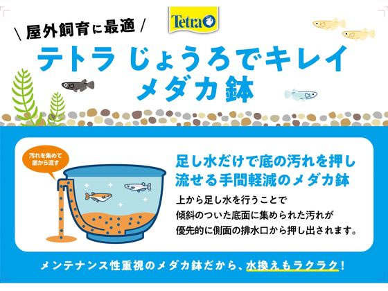 �ڥ�ӥ塼��Ƥ�100��OFF�����ݥ�ۡڤ����󤻡ۥ��ڥ��ȥ�� �֥�� ����ѥ� �ƥȥ� ���礦���ǥ��쥤�����ȭ20 �� ���å� �Ѿ޵� �ڥå� �������ꥦ��