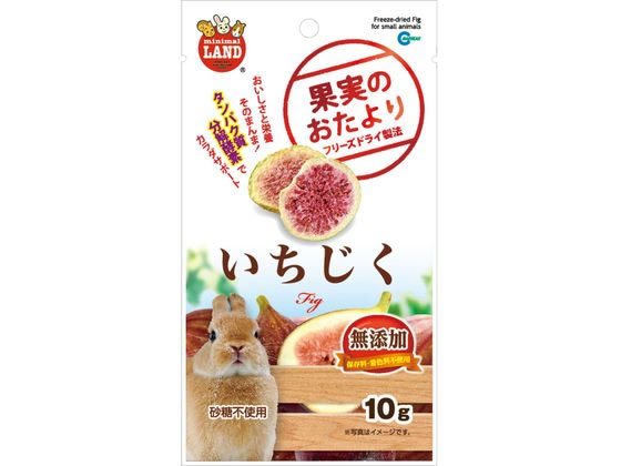 【ポイント2倍★22日20:00〜27日9:59迄】【お取り寄せ】マルカン 果実のおたより いちじく 10g ML-143 ハムスター ウサギ フード 小動物 ペット ウサギ ハムスター(4)