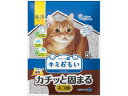 【店内全品ポイント2倍★16日9:59迄】 【お取り寄せ】大王製紙 キミおもい カチッと固まる ネコ砂 5L 猫砂 シート 猫用 キャット ペット トイレ