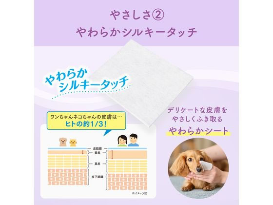 【レビュー投稿で100円OFFクーポン】コクヨ 額縁金ラック(軽量タイプ・スタンド付)...