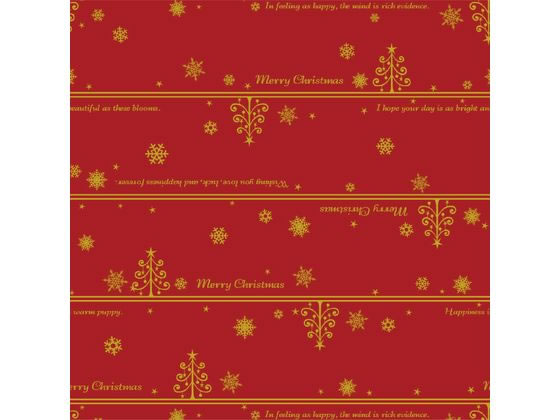 ڥӥ塼Ƥ100OFFݥ̵ ڤ󤻡ۥ  ͡ Ƚ 50 49-4025   åԥ