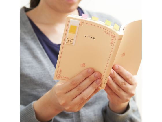 【マラソン限定★2,000円クーポン＆ポイント2倍】【お取り寄せ】カンミ堂 ココフセン Mサイズ COLOR レッド クロケース CF1003 デザインふせん ふせん インデックス メモ ノート 3