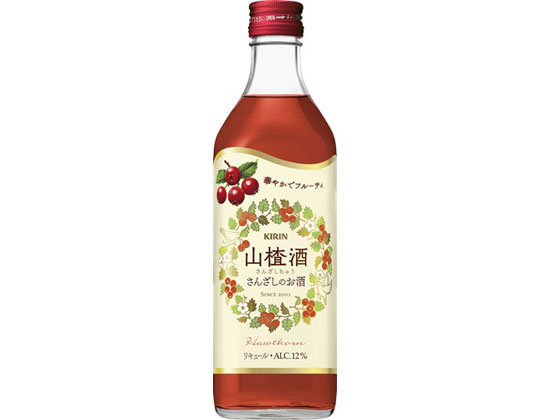 ڤ󤻡ۥӡ   500ml