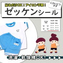 お名前シール ノンアイロン 布用【送料無料】布 ゼッケン 名入れ 体操服 水着 ゼッケンシール 小学校 入学準備 ネームシール アイロン不要 おなまえシール バスタオル用シール ワッペン 水泳 スイミング プール 保育園 幼稚園 防水 特大 シンプル プレゼント