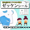 お名前シール ノンアイロン 布用【送料無料】布 ゼッケン 名入れ 体操服 水着 ゼッケンシール 小学校 入学準備 ネームシール アイロン不要 おなまえシール バスタオル用シール ワッペン 水泳 スイミング プール 保育園 幼稚園 防水 特大 シンプル プレゼント 卒園祝い