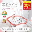 \スーパーSALE★最大1,210円引き!/【月の半分以上不調を感じたら】COCOFA 温活 玄米カイロ 全身用 大 温活 生理 妊活 プレ更年期 フェムケア ...