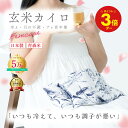 \15日ポイント★最大5倍/【月の半分以上不調を感じたら】クーラー冷え COCOFA 温活 玄米カイロ 全身用 大 【花柄】温活 生理 妊活 プレ更年期 フェムケア 冷え 産後 妊活 頭痛 温め 温活 子宮温活 膣温活 腸活 出産祝い ホットパット 送別 誕生日プレゼント ギフト