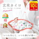 間も無く終了\先着10%OFF★SALE/P2倍!高レビュー★4.77【月の半分以上不調を感じたら】COCOFA 温活 クーラー冷え 玄米カイロ 全身用 大 温活 生理 妊活 プレ更年期 冷え 産後 妊活 頭痛 温め 温活 子宮温活 膣温活 腸活 出産祝い ホットパット 誕生日プレゼント ギフト