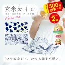 7/27(日)まで\500円★OFF/【月の半分以上不調を感じたら】クーラー冷え COCOFA 温活 玄米カイロ 全身用 大 【花柄】温活 生理 妊活 プレ更年...
