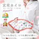 【月の半分以上不調を感じたら】COCOFA 温活 玄米カイロ 全身用 大 温活 生理 妊活 プレ更年期 フェムケア 冷え 産後 妊活 頭痛 温め 温活 子宮温活...