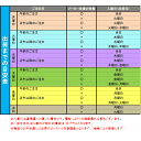 角2封筒 オレンジ A4用【500枚】紙厚100g角形2号 角2 カラー封筒 3