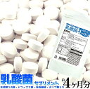 メガ盛り 乳酸菌サプリメントどっさり約4ヶ月分 全国送料無料 (メール便) 代引不可