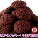 豆乳おからクッキーリッチカカオ500g 送料無料 国産大豆使用 カカオ分22%配合でほろ