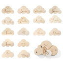 サムコス 雲形 ウッド 8枚セット 月齢カード 収納袋付き 写真道具 ニューボーンフォト 月齢フォト ベビーマンスリーカッド 記念日フォト 出産祝い 赤ちゃん ...