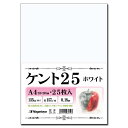 長門屋商店 【 】高級ケント紙 〈ケント25〉 スケッチ・イラスト 漫画・コミック用紙 135kg A4 ホワイト