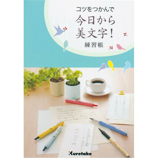 呉竹 ノート 練習帳 硬筆練習 コツをつかんで 今日から美文字 DAW100-8 呉竹 ノート 練習帳 硬筆練習 コツをつかんで 今日から美文字 DAW100-8