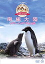 【中古】「どうぶつ奇想天外 」presents南極大陸 アデリーペンギン子育て物語 DVD