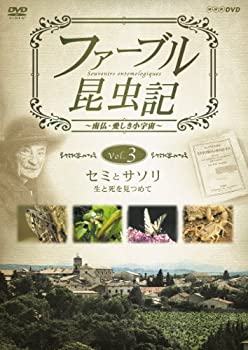 【中古】(非常に良い)ファーブル昆虫記 セミとサソリ 生と死を見つめて [DVD]