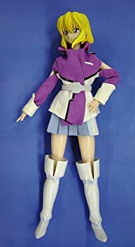【中古】(非常に良い)ACTION FIGURE COLLECTION 機動戦士ガンダムSEED DESTINY ステラ ルーシェ