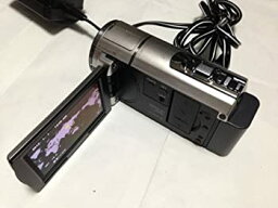 【中古】(非常に良い)ソニー SONY HDビデオカメラ Handycam HDR-CX590V シャンパンシルバー