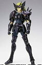 【中古】聖闘士聖衣神話 ペルセウスアルゴル(冥衣)