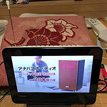 【中古】(非常に良い)TOSHIBA REGZA 防水対応ポータブルDVD SD-P100WP